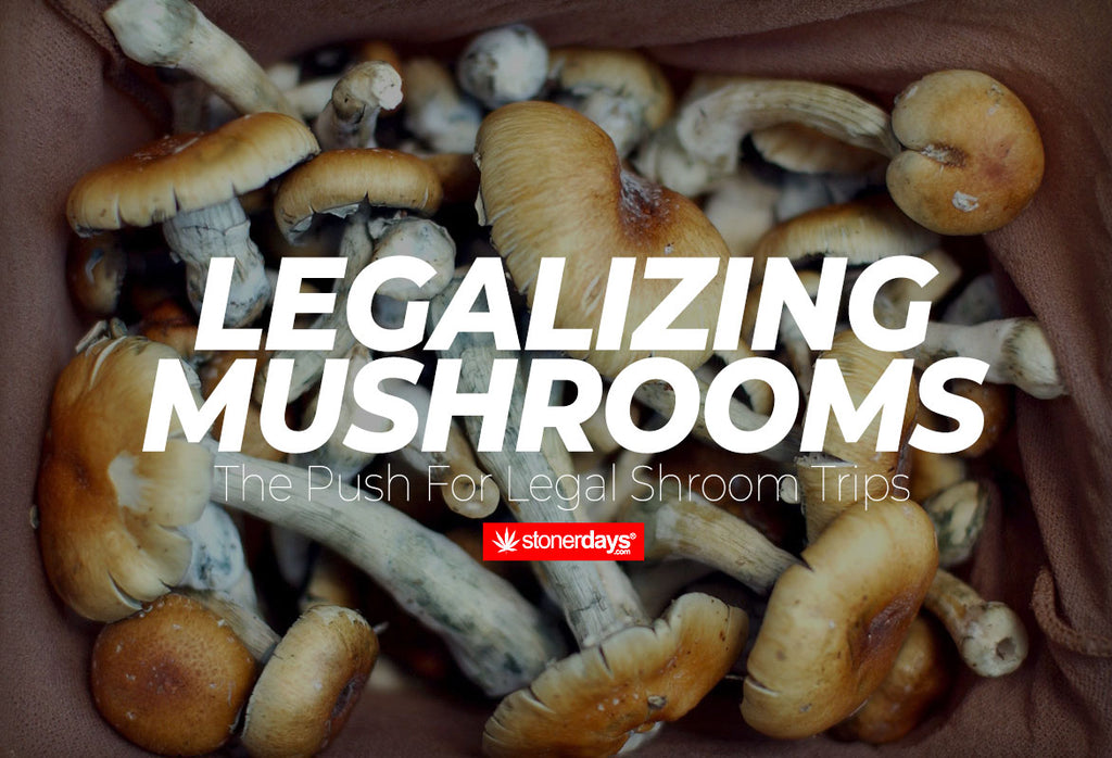 Legalizing Mushrooms; The Push For A Legal Shroom Trips