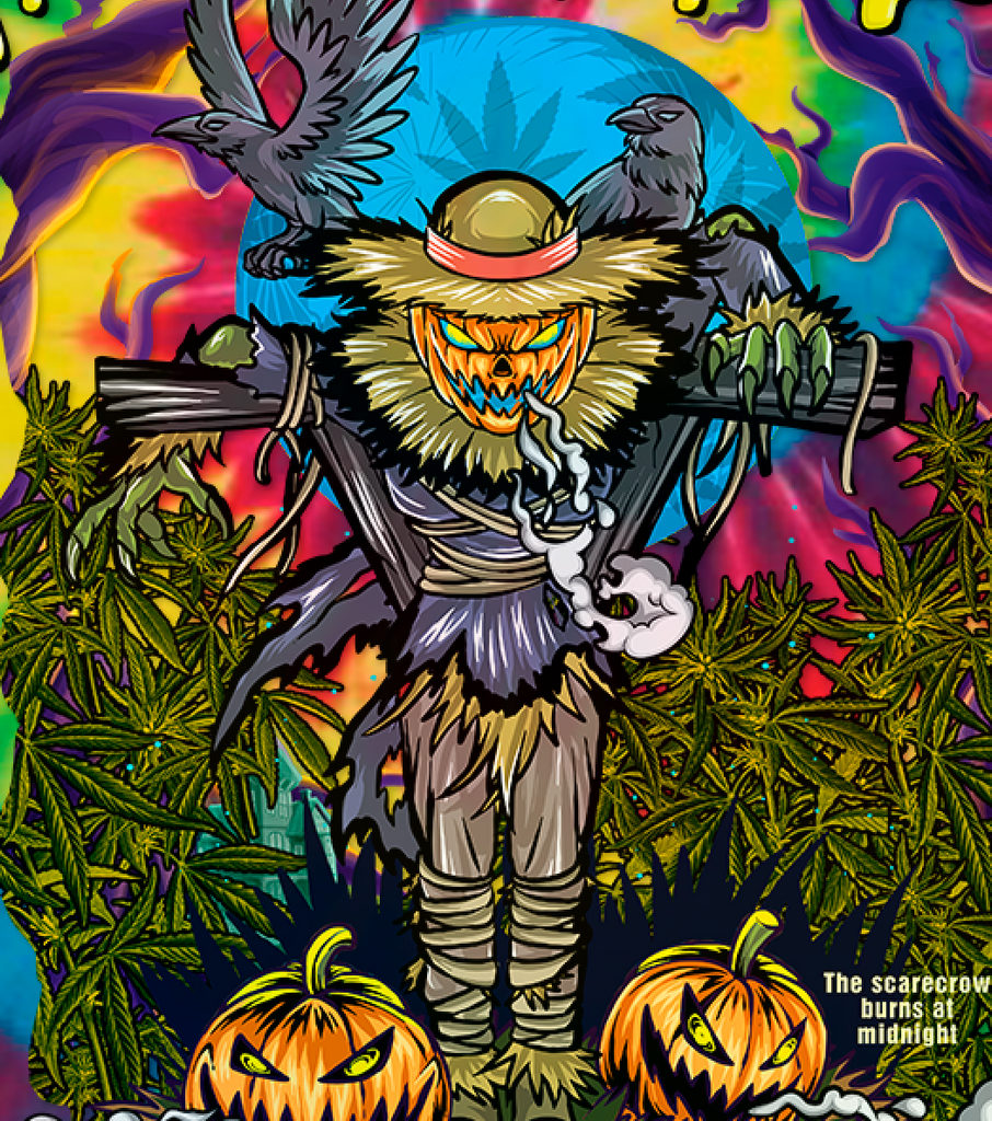 Scarecrow of the Crops Rainbow Tie Dye Tee