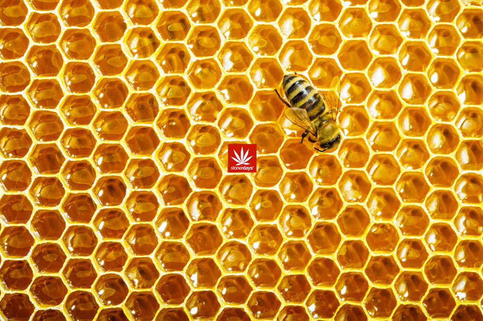 Honeycomb Dab Mat
