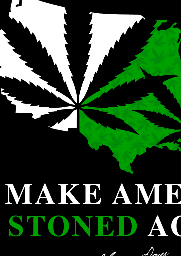 Make America Stoned Again Crop Top Hoodie