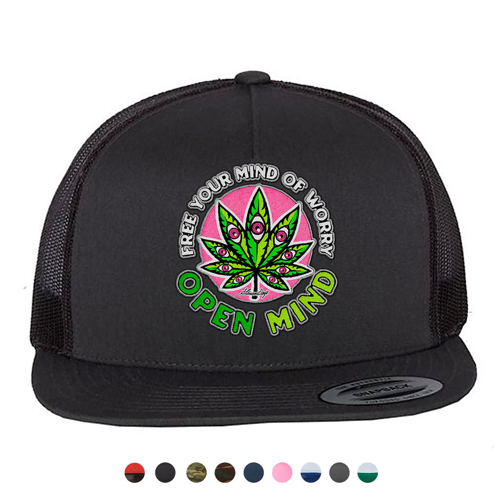 Open Mind Snapback Hat