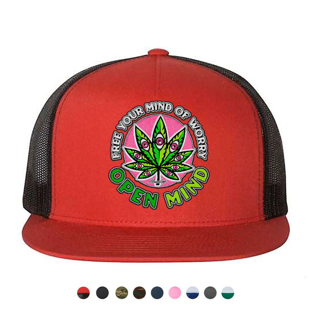 Open Mind Snapback Hat