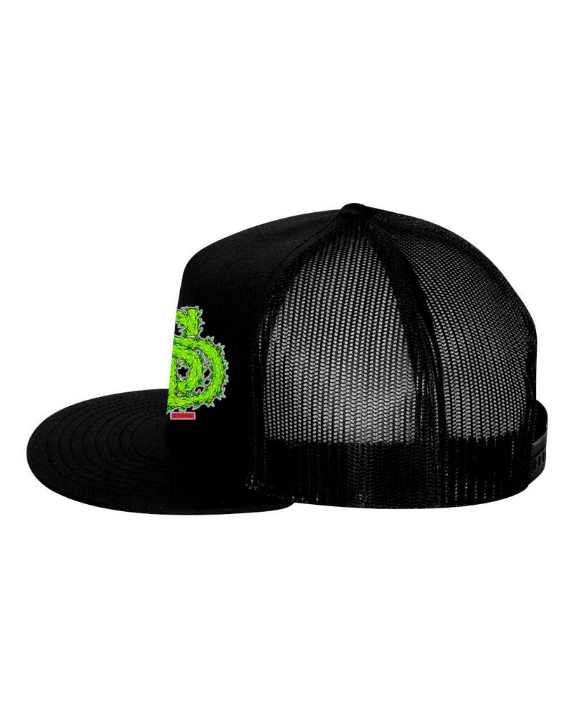 SD Leafy Logo Snapback Hat