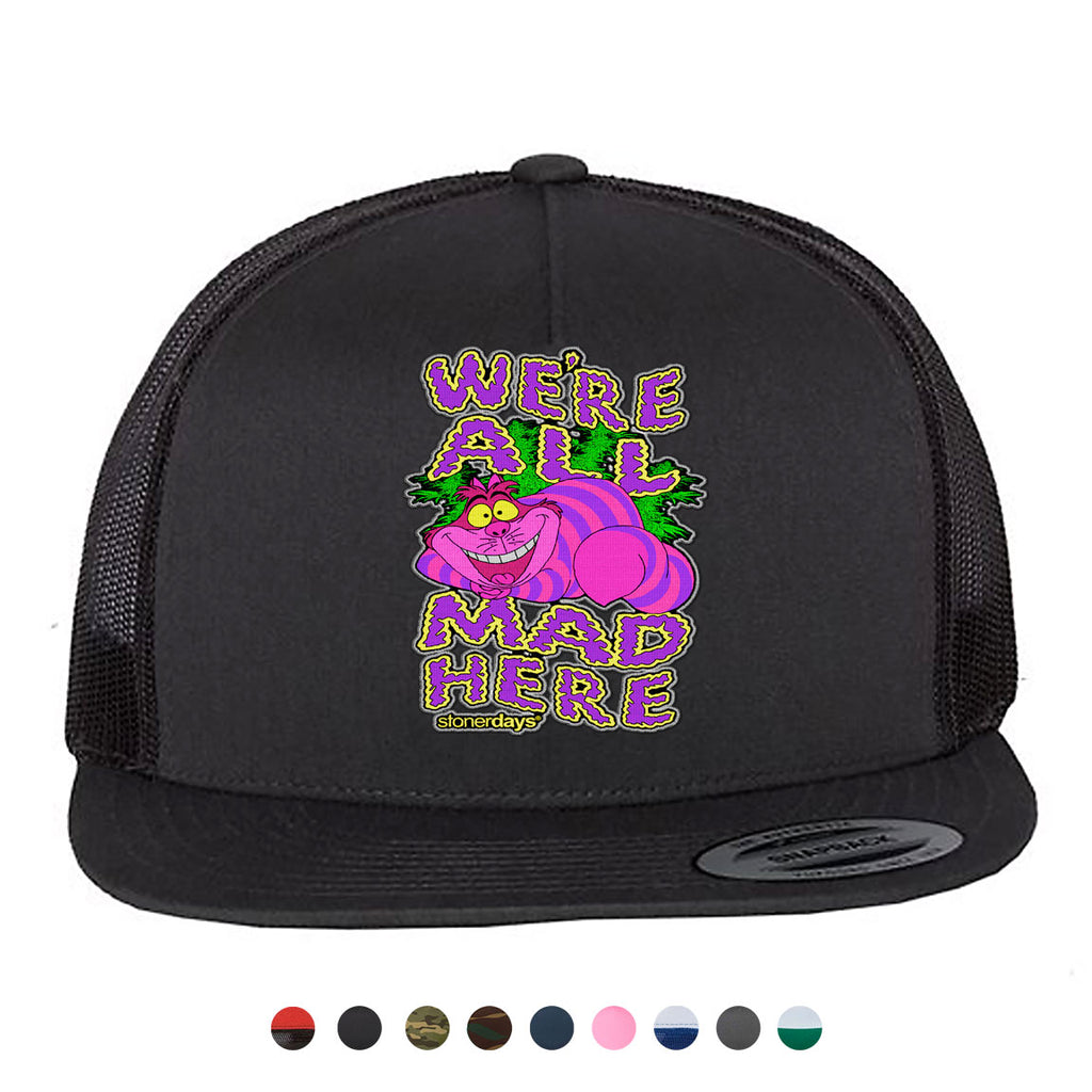 Were All Mad Here Snapback Hat