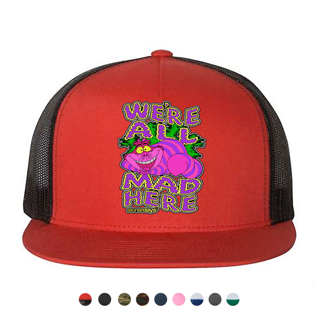 Were All Mad Here Snapback Hat