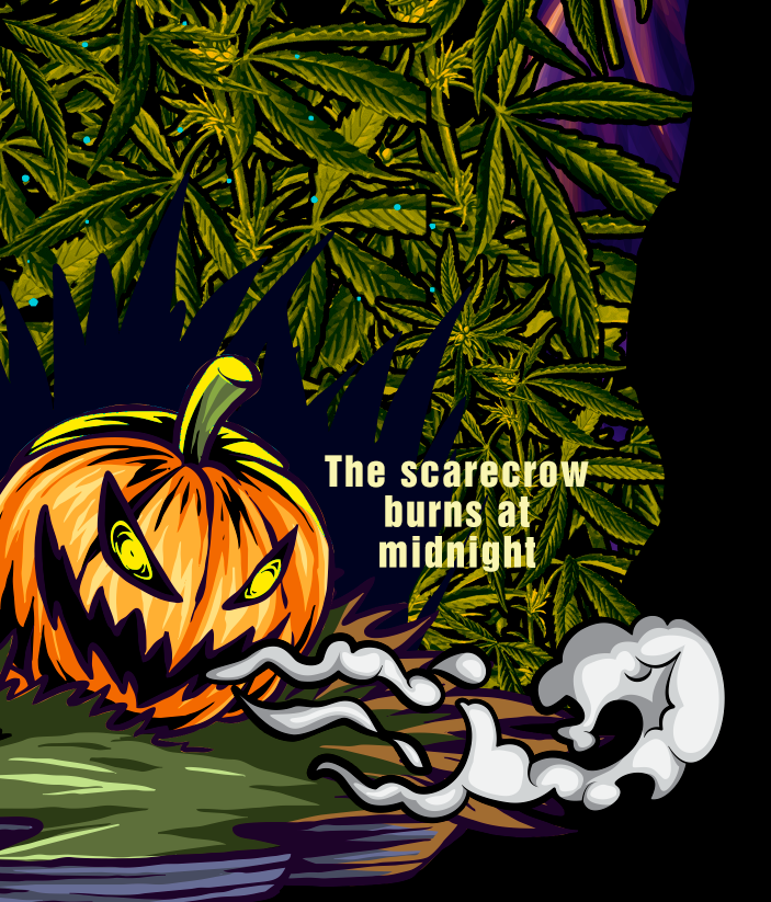 Scarecrow of the Crops T-Shirt