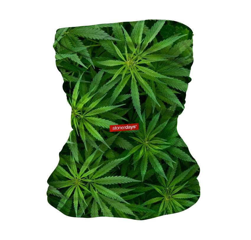 Cannabis Leaves Neck Gaiter