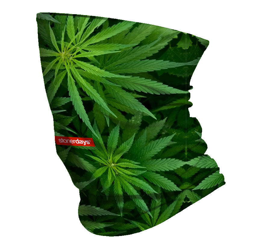 Cannabis Leaves Neck Gaiter