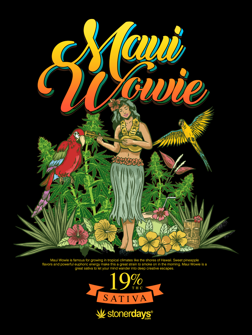 MAUI WOWIE HOODIE – StonerDays