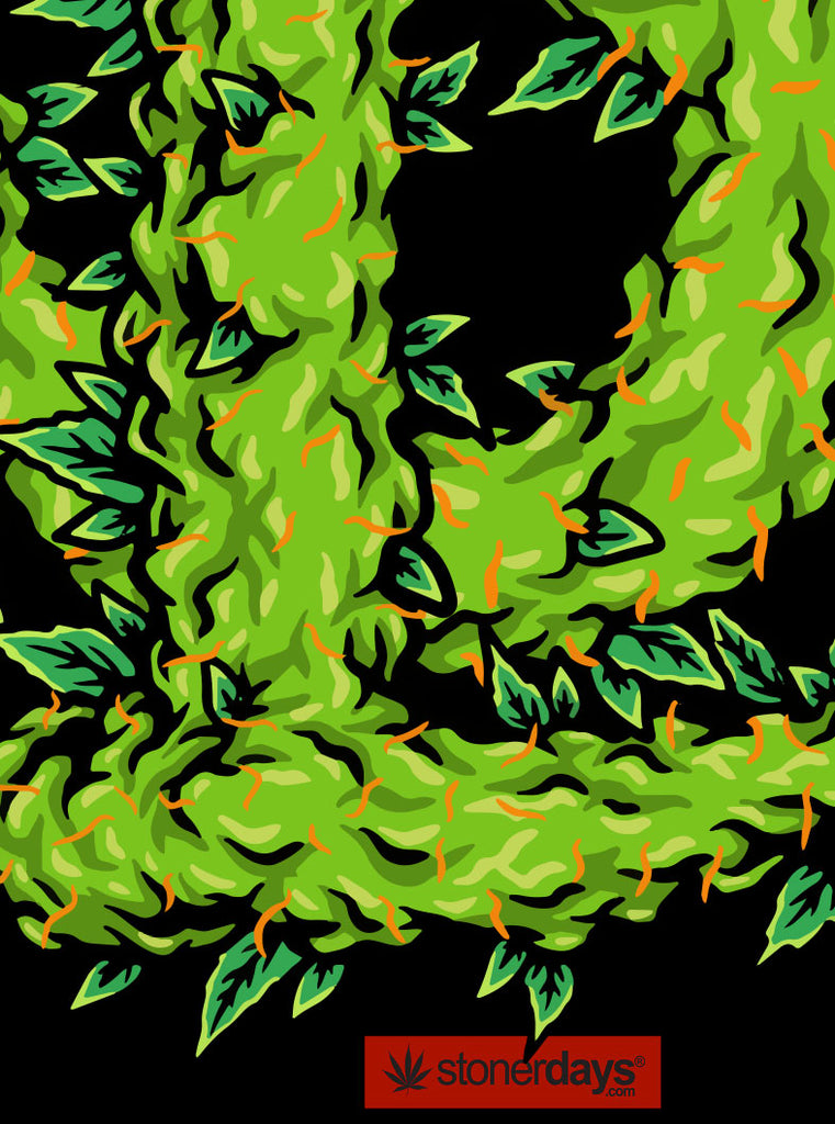 SD Leafy Logo