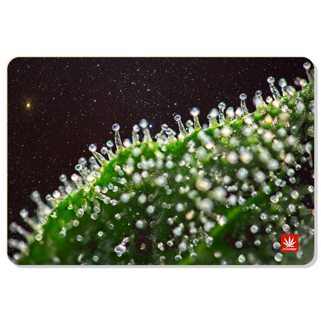 Trichomes in Space Dab Mat