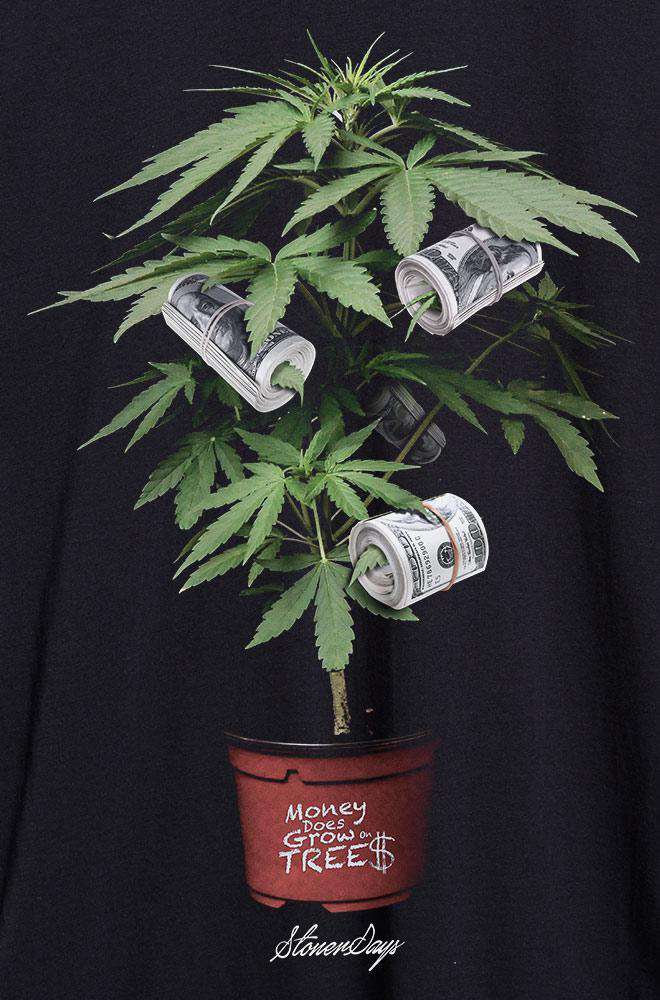 Money Tree Hoodie